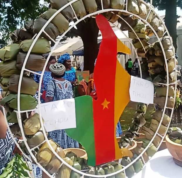 Intro - Questionnements ! Les sagesses traditionnelles sont-elles dénuées de toute connaissance scientifique ?